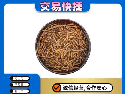 湛江回收散虫草
