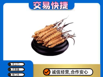 湛江礼品回收散虫草.jpg